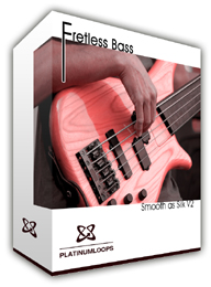 Fretless Bass guitar