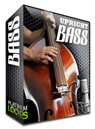 upright bass loops